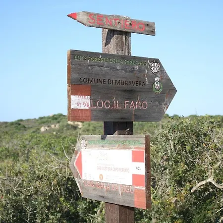 Centro Di *